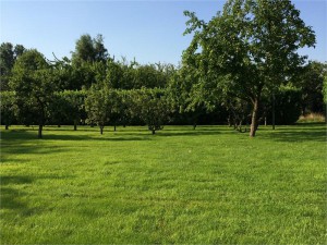 Terrain 78 Mareil sur Mauldre Bazoches Le Tremblay Saint Remy l honore vicq boissy